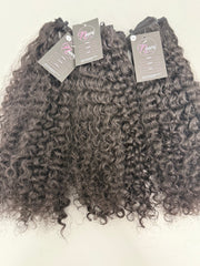 Burmese CURLY Black Friday Sale