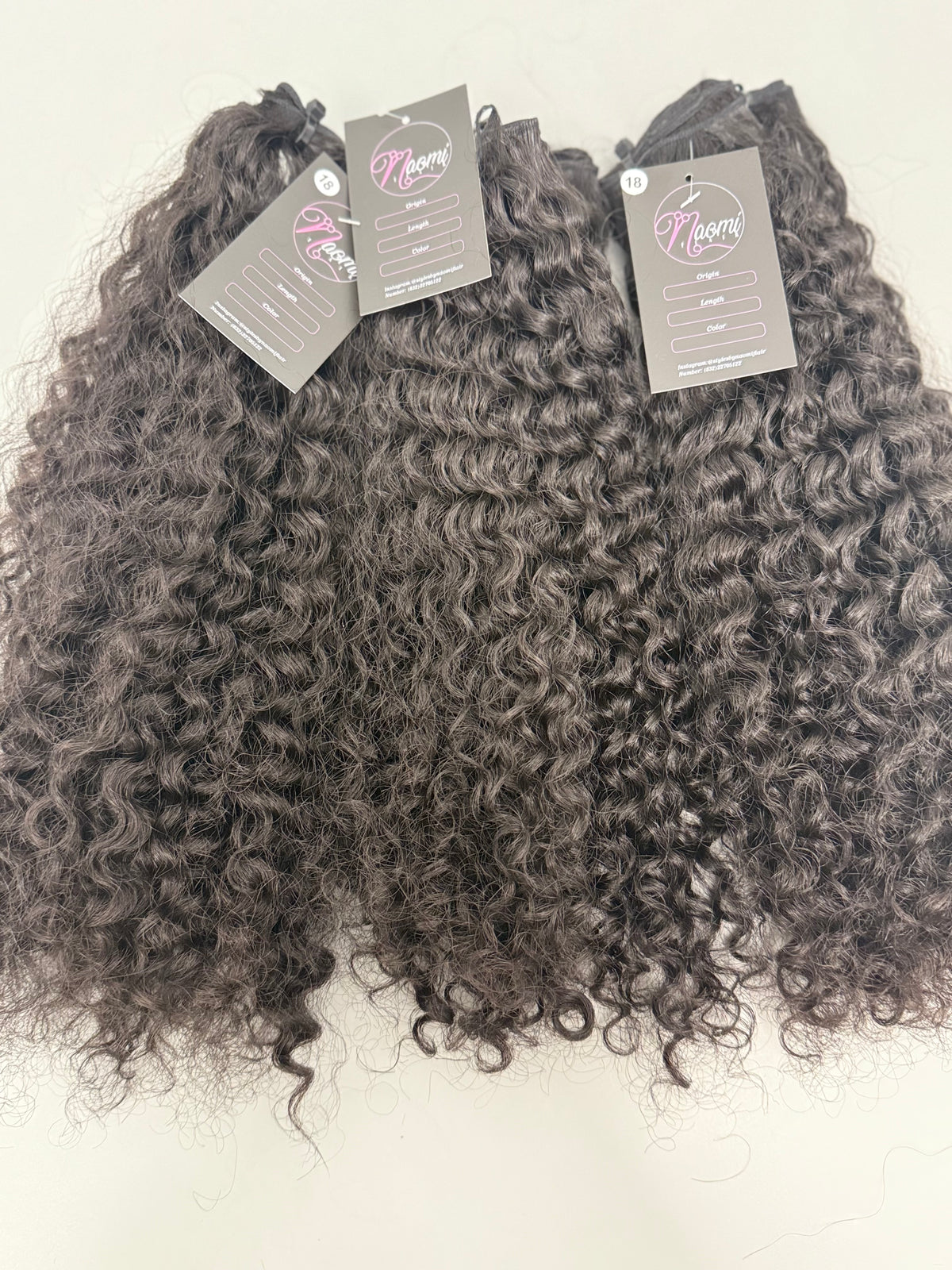 Burmese CURLY Black Friday Sale